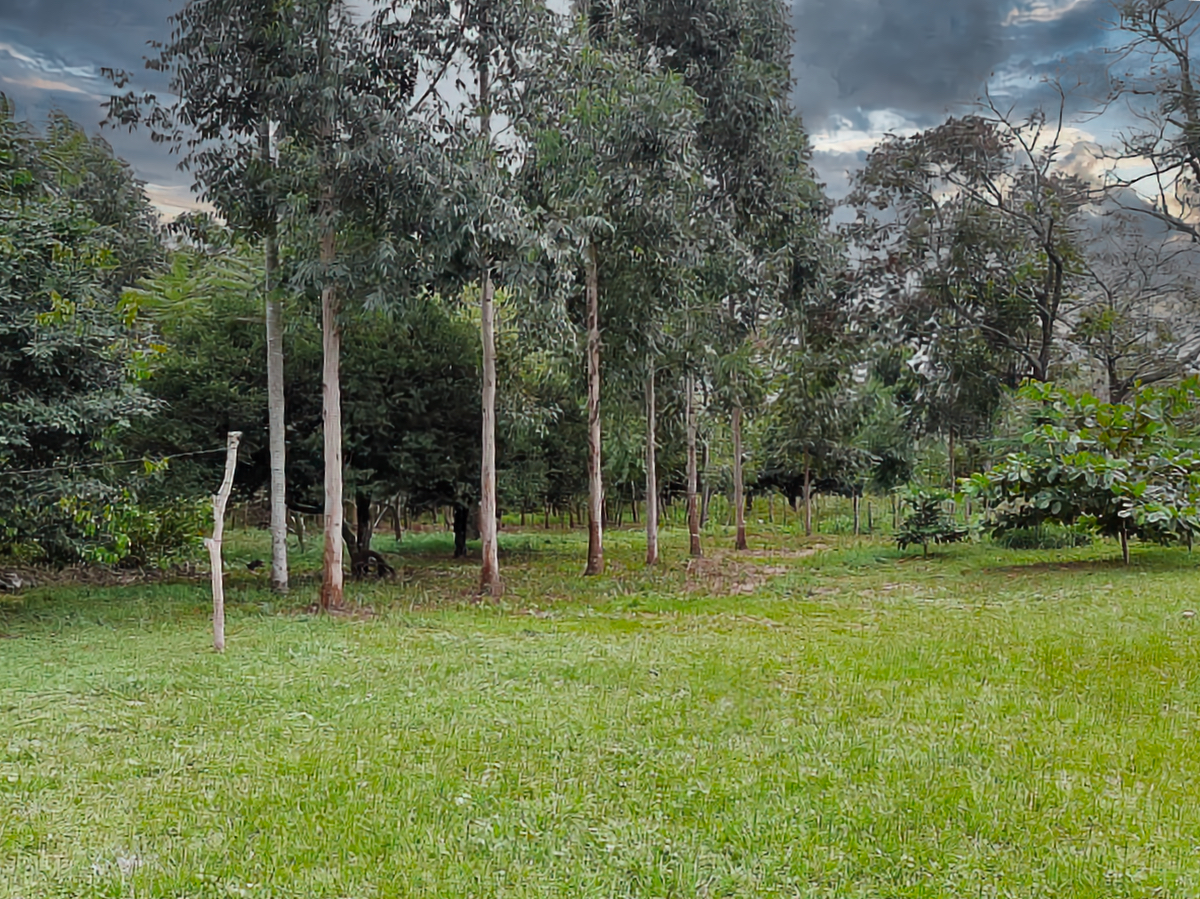 al-gk-145-altos-grundstueck-panorama-paraguay-heppner-lotes.jpeg Grundstück mit Panoramablick in Altos Paraguay – Heppner Lotes